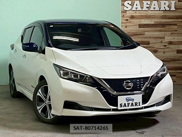 Nissan LEAF 2018-06 7327902-0