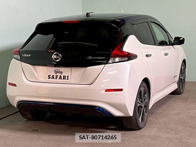 Nissan LEAF 2018-06 7327902-9