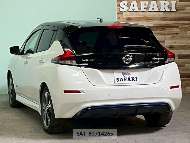Nissan LEAF 2018-06 7327902-1