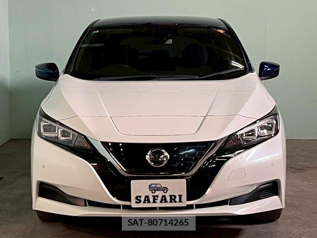 Nissan LEAF 2018-06 7327902-5