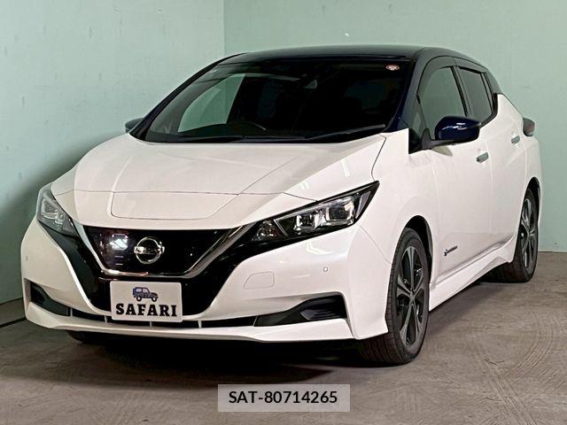 Nissan LEAF 2018-06 7327902-6