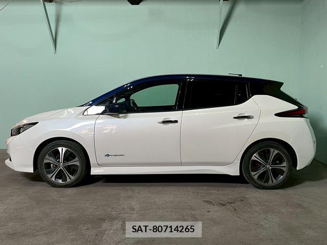 Nissan LEAF 2018-06 7327902-7