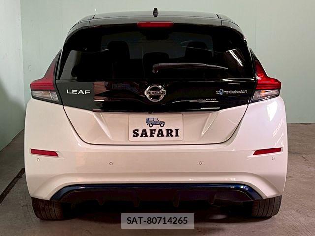 Nissan LEAF 2018-06 7327902-8