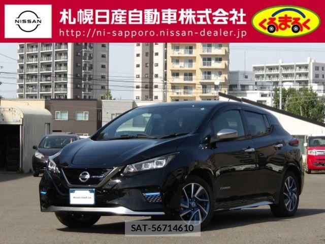 Nissan LEAF 2019-12 7327890-0