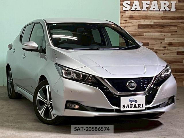 Nissan LEAF 2018-04 7327903-0