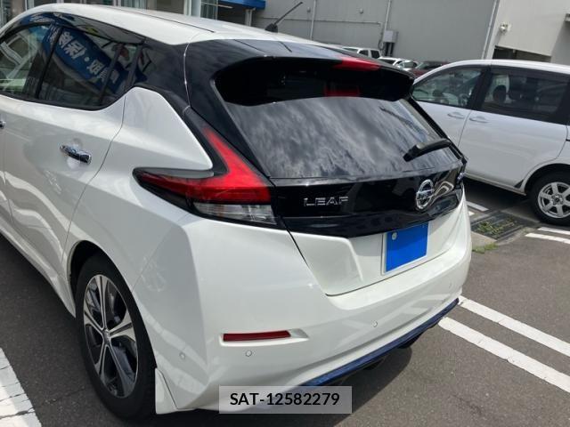 Nissan LEAF 2018-01 7327905-3