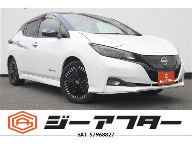 Nissan LEAF 2023-01 7358404-0