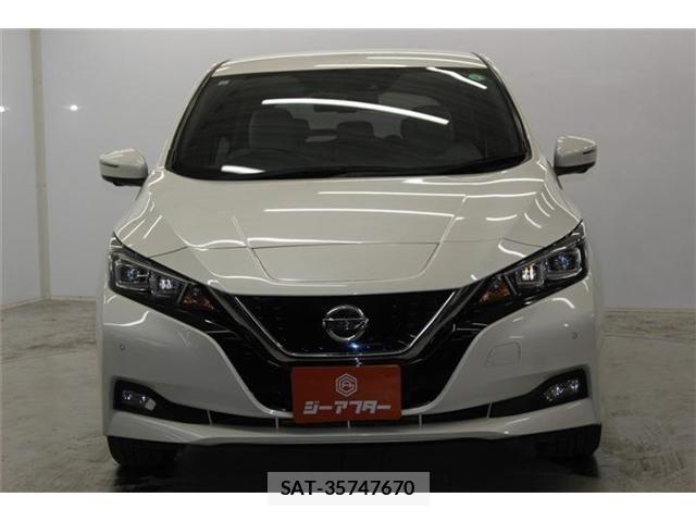 Nissan LEAF 2017-12 7392609-2