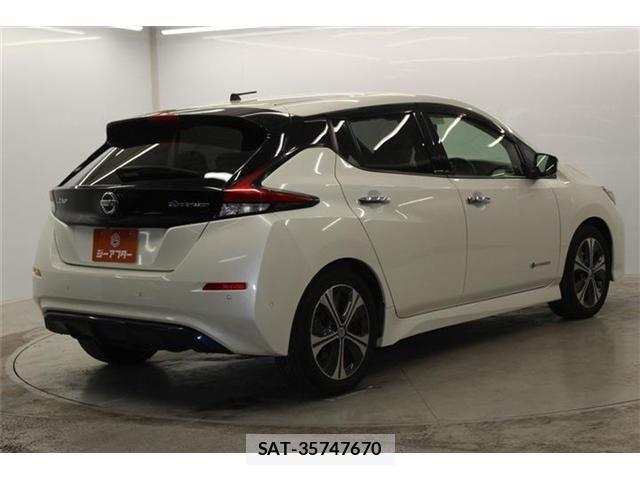 Nissan LEAF 2017-12 7392609-5