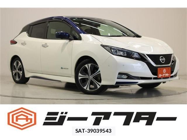 Nissan LEAF 2017-12 7501201-0