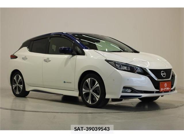 Nissan LEAF 2017-12 7501201-5