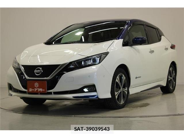 Nissan LEAF 2017-12 7501201-7