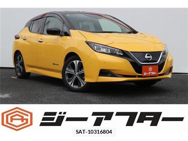 Nissan LEAF 2018-10 7562332-0