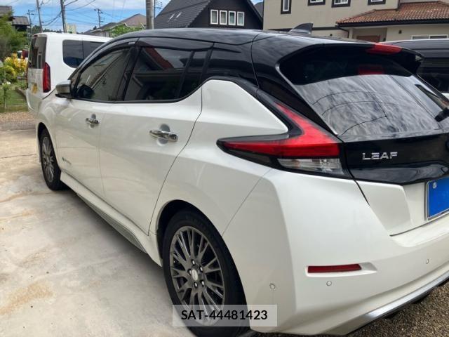 Nissan LEAF 2019-08 7562331-5