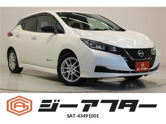 Nissan LEAF 2021-12 7562330-0