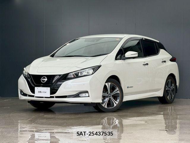 Nissan LEAF 2022-01 7562329-0