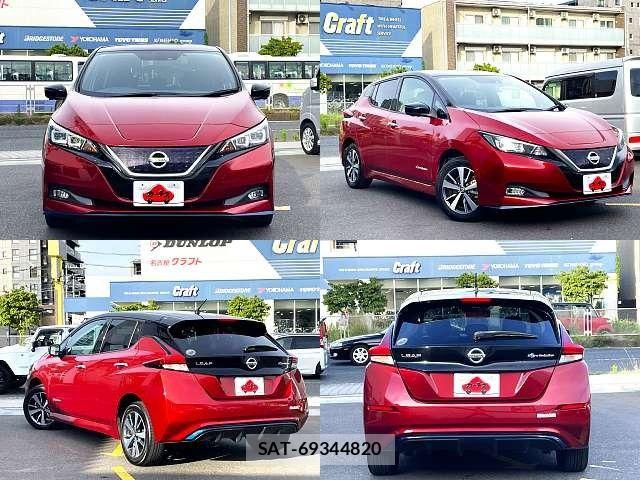 Nissan LEAF 2019-01 7617514-8