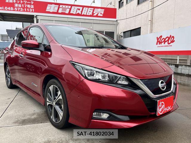 Nissan LEAF 2017-10 7617518-19