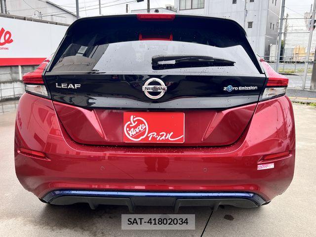 Nissan LEAF 2017-10 7617518-21