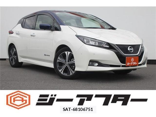 Nissan LEAF 2018-01 7617517-0
