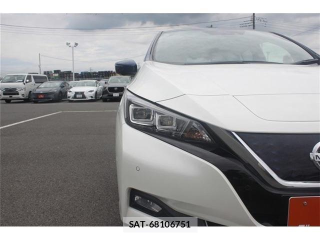Nissan LEAF 2018-01 7617517-18