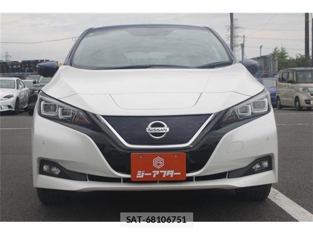 Nissan LEAF 2018-01 7617517-8