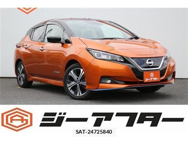 Nissan LEAF 2020-10 7617515-0