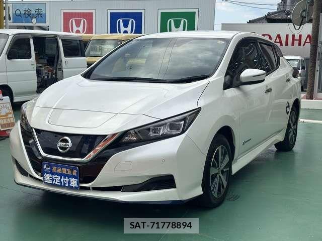 Nissan LEAF 2020-03 7617513-2