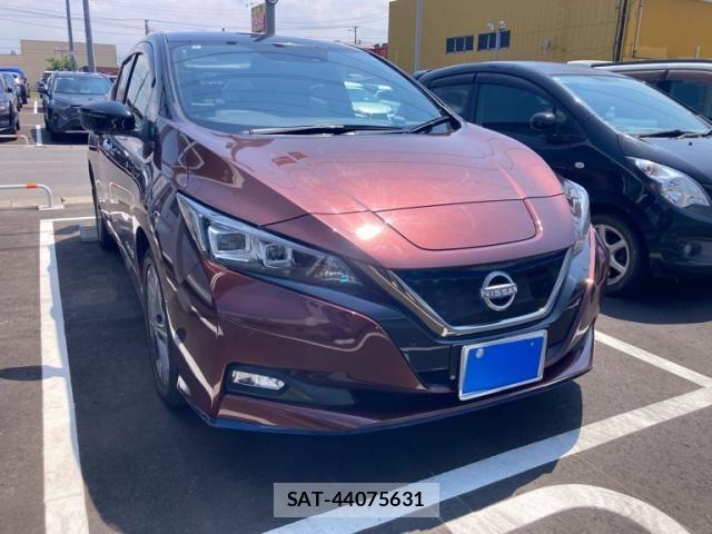 Nissan LEAF 2022-01 7724906-0