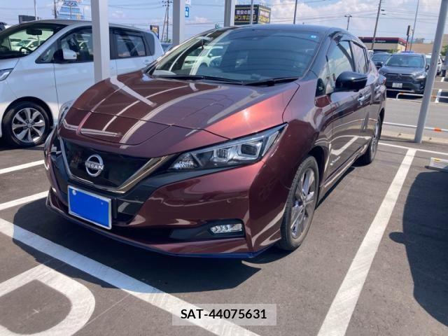 Nissan LEAF 2022-01 7724906-1