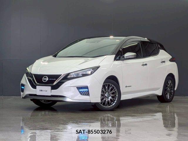 Nissan LEAF 2022-07 7724905-0