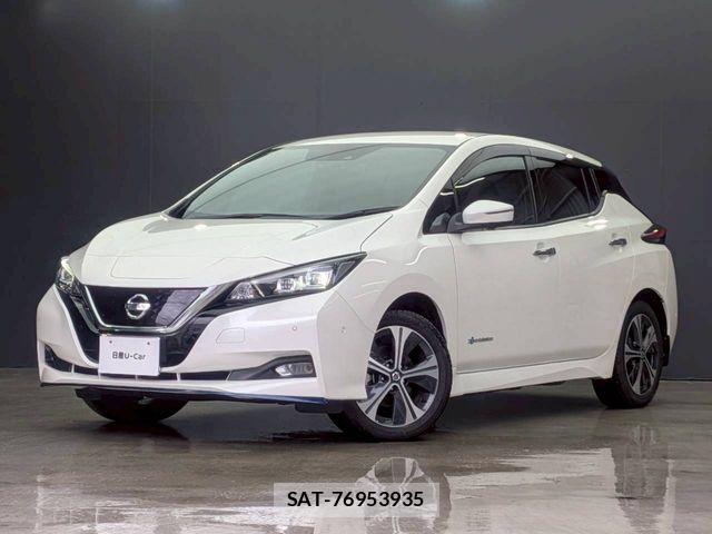 Nissan LEAF 2020-11 7786325-0