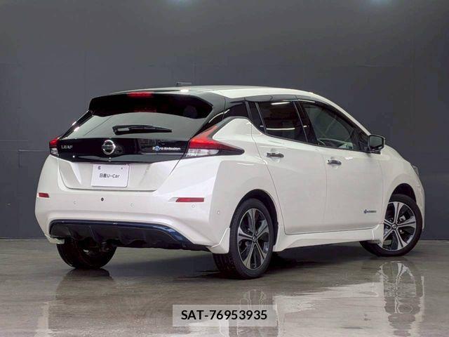 Nissan LEAF 2020-11 7786325-1