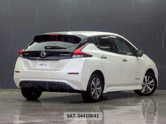 Nissan LEAF 2019-11 7786326-1
