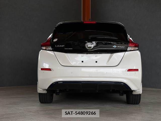 Nissan LEAF 2019-11 7786316-9