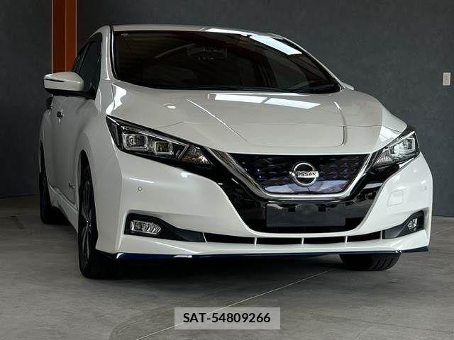 Nissan LEAF 2019-11 7786316-1
