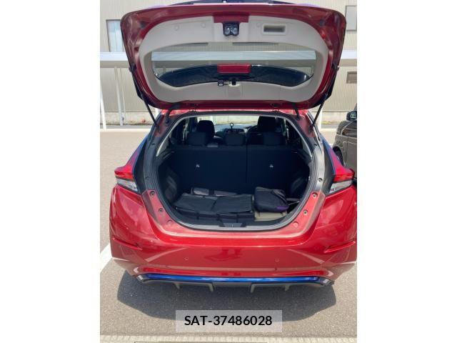 Nissan LEAF 2017-10 7877241-8