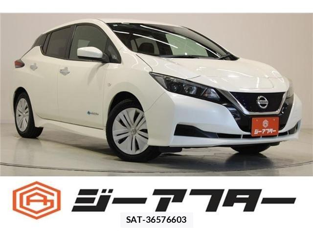 Nissan LEAF 2018-11 7877236-0