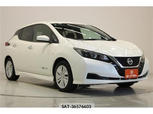 Nissan LEAF 2018-11 7877236-5