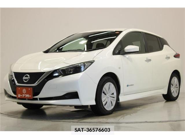 Nissan LEAF 2018-11 7877236-7