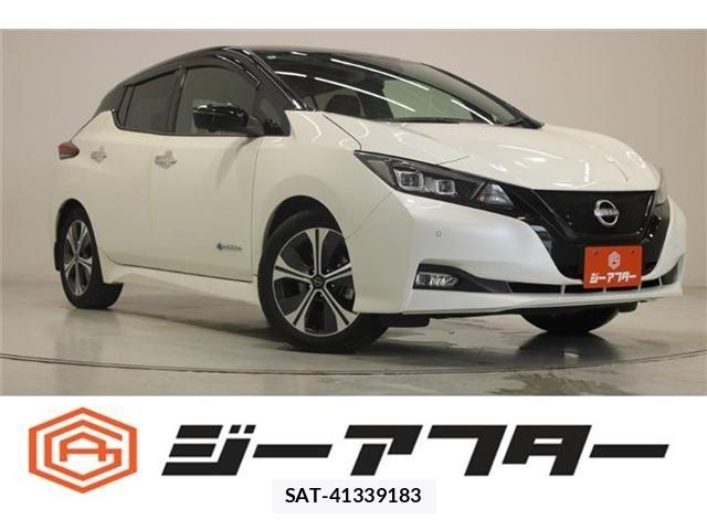 Nissan LEAF 2022-03 7877230-0