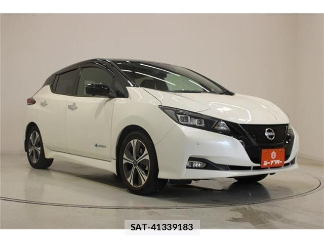 Nissan LEAF 2022-03 7877230-5