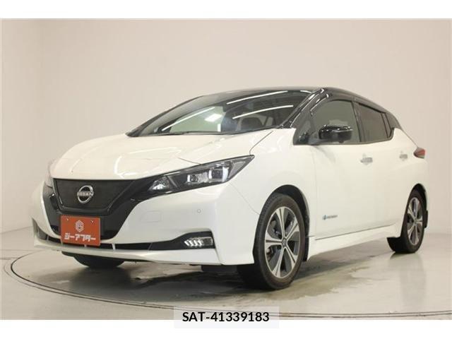 Nissan LEAF 2022-03 7877230-7
