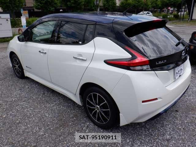 Nissan LEAF 2018-11 7877239-5