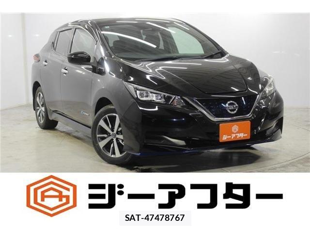 Nissan LEAF 2020-06 7877232-0