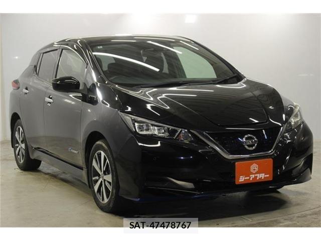 Nissan LEAF 2020-06 7877232-2