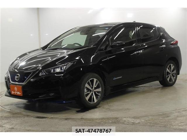 Nissan LEAF 2020-06 7877232-8