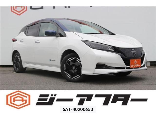 Nissan LEAF 2023-03 7877228-0