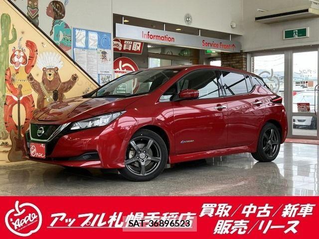 Nissan LEAF 2020-09 7877237-0