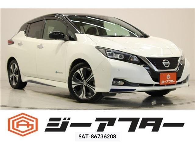 Nissan LEAF 2017-10 7902824-0